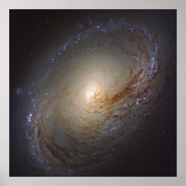 Barred Lenticular Galaxy Ngc 3368 Poster (Framsidan)