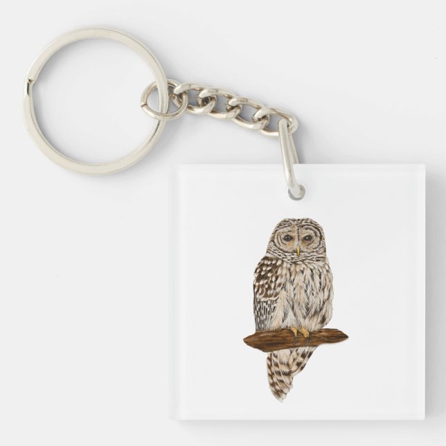 Barred Owl (Framsidan)