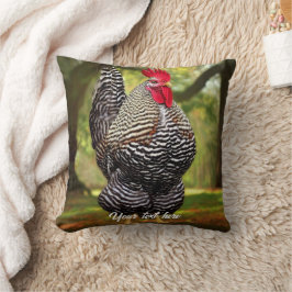 Barred Plymouth Sten Tupp Kudde