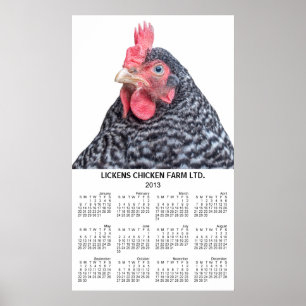 Barred Rock Kyckling Vägg Årlig Kalender 2013 Poster