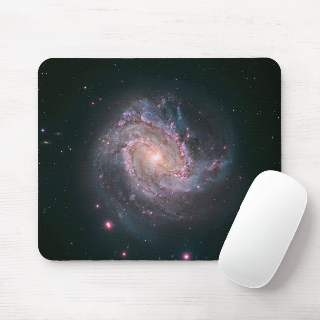 Barred Spiral Galaxy Messier 83.2 Musmatta (Med mus)