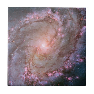 Barred Spiral Galaxy Messier 83. Kakelplatta