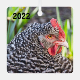 Barred Sten Hen - Pet Chicken Julgransdekoration