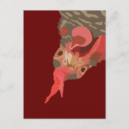 Barred-Sten Hen Vykort