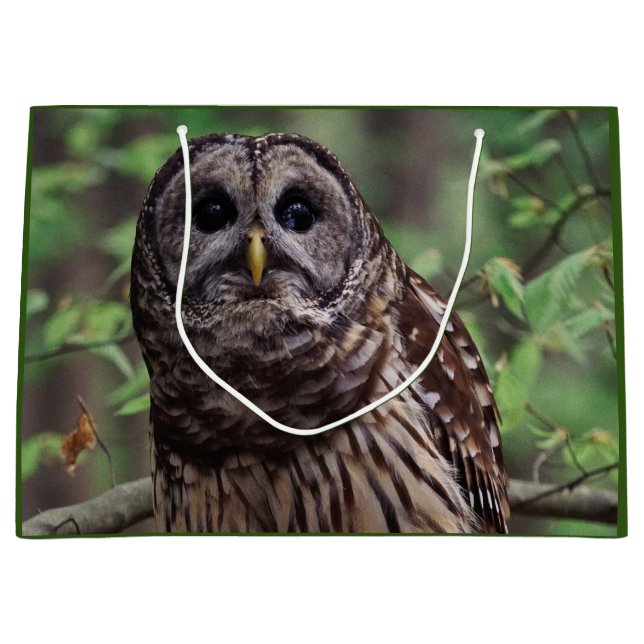Barred Uggla (Framsidan)
