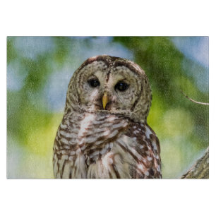 Barred Uggla