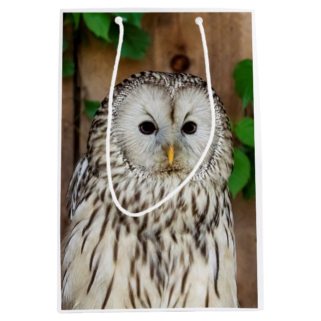 Barred Uggla (Framsidan)