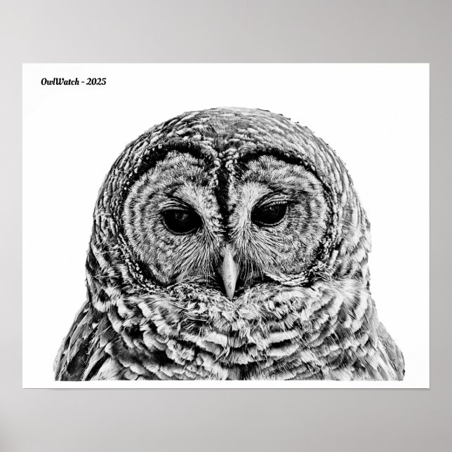 Barred Uggla - 2025 Poster (Framsidan)
