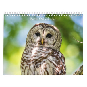Barred Uggla 2026 Kalender