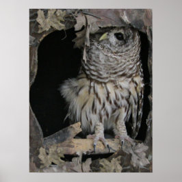 Barred Uggla - här Tittar du dig Poster