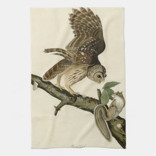 Barred Uggla, John James Audubon's Birds of Americ Kökshandduk