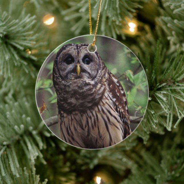 Barred Uggla Julgransprydnad Keramik (Träd)