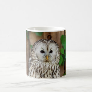 Barred Uggla Kaffemugg