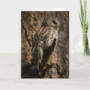 Barred Uggla Mamma tackkort