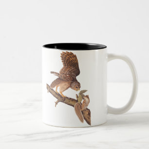 Barred Uggla och Lycklig Squirrel Audubon Art Två-Tonad Mugg