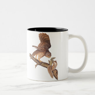 Barred Uggla och Lycklig Squirrel Audubon Art Två-Tonad Mugg