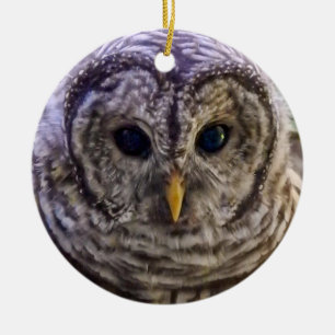 Barred Uggla Ornament