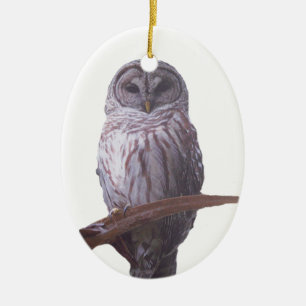Barred Uggla Ornament