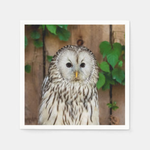 Barred Uggla Pappersservett