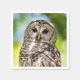 Barred Uggla Pappersservett