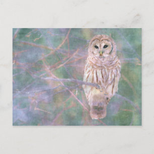 Barred Uggla Pastel Digital Oiltavel Vykort