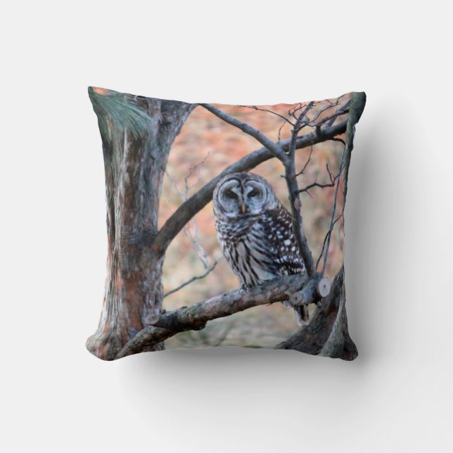 Barred Uggla Pillow Kudde (Framsida)