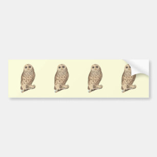 Barred Uggla (Ulula nebulosa) De Kays NY Birds Bildekal