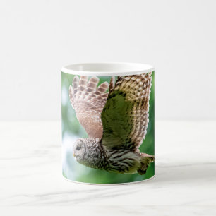 Barred Uggla under flygning Kaffemugg