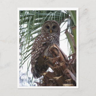 Barred Uggla Vykort