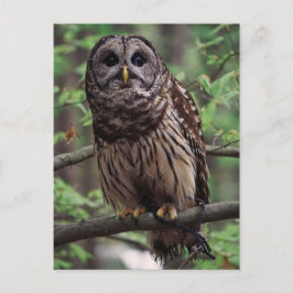 Barred Uggla Vykort