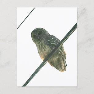 Barred Uggla Vykort