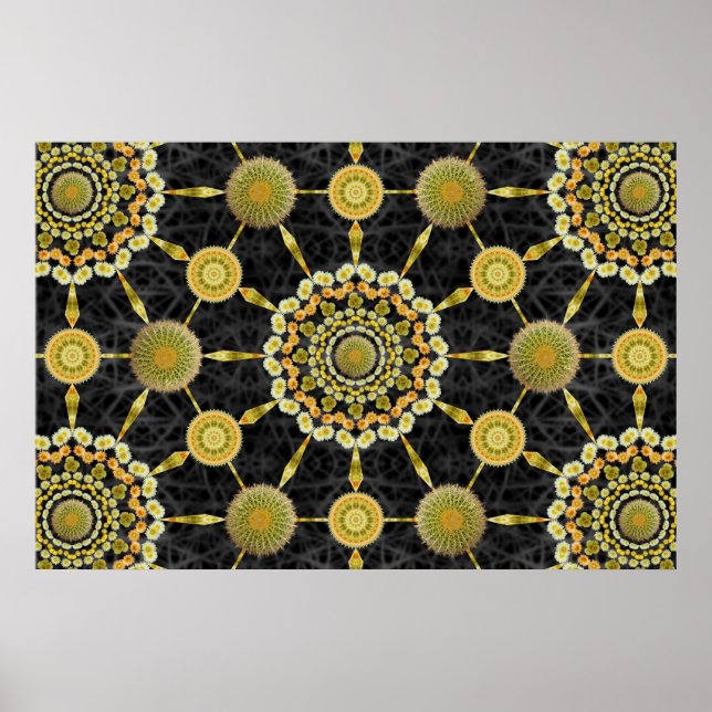 Barrel Cactus Array 1 Poster (Framsidan)