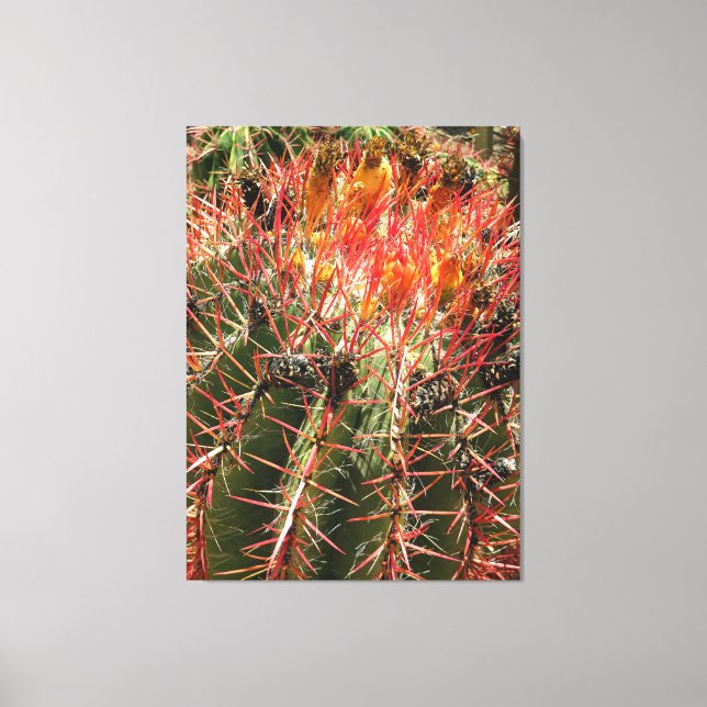 Barrel Cactus Canvastryck (Framsida)