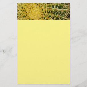 Barrel Cactus Closeup Abstrakt Nature Photography Brevpapper