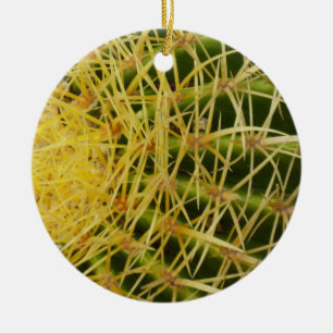 Barrel Cactus Closeup Abstrakt Nature Photography Julgransprydnad Keramik