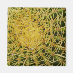 Barrel Cactus Closeup Abstrakt Nature Photography Magnet