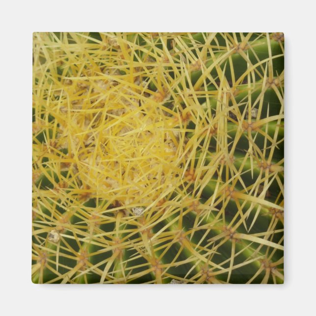 Barrel Cactus Closeup Abstrakt Nature Photography Magnet (Framsidan)