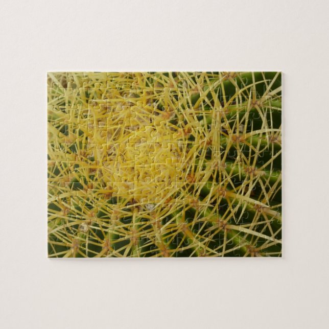 Barrel Cactus Closeup Abstrakt Nature Photography Pussel (Horisontell)