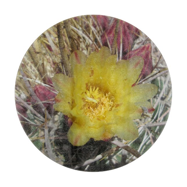Barrel Cactus Fishkrok Gult (Framsidan)