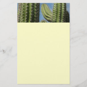 Barrel Cactus I Desert Photo Brevpapper