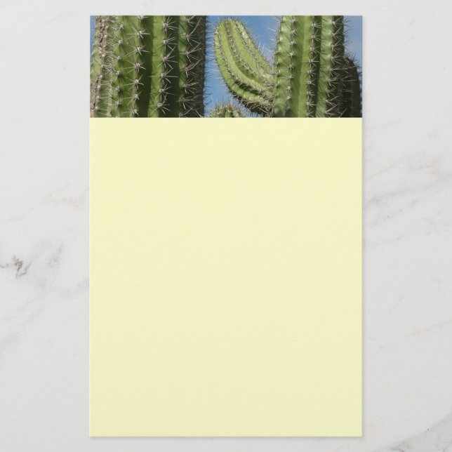 Barrel Cactus I Desert Photo Brevpapper (Framsida)