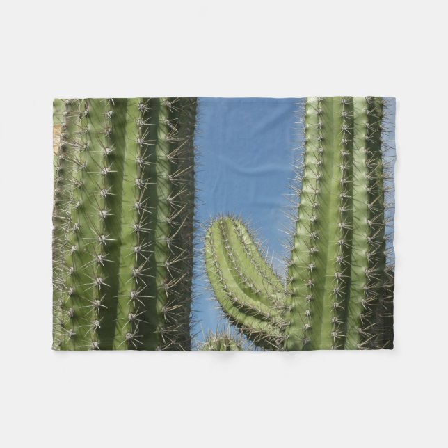Barrel Cactus I Desert Photo Fleecefilt (Framsidan (Horisontell))