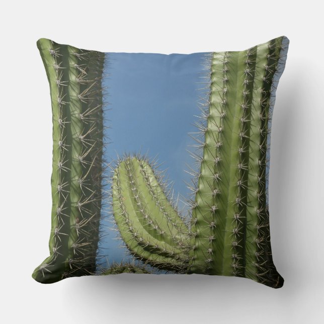 Barrel Cactus I Desert Photo Kudde (Framsida)