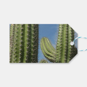 Barrel Cactus I Desert Photo Presentetikett