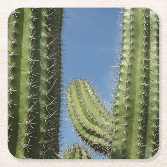 Barrel Cactus I Desert Photo Underlägg Papper Kvadrat (Framsidan)