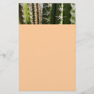 Barrel Cactus II Desert Nature Photo Brevpapper