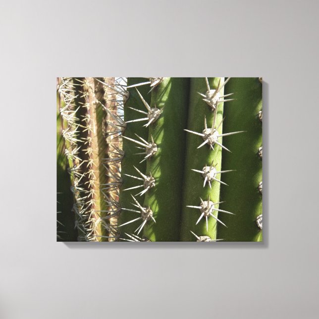 Barrel Cactus II Desert Nature Photo Canvastryck (Framsida)