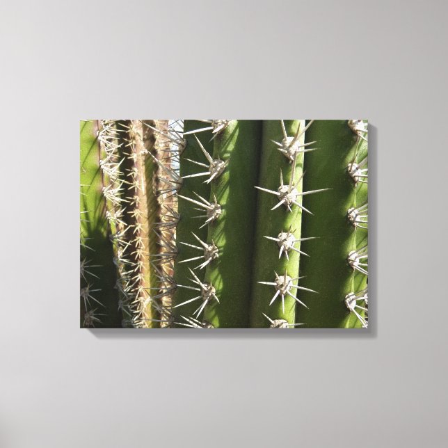 Barrel Cactus II Desert Nature Photo Canvastryck (Framsida)
