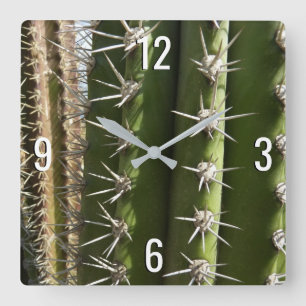 Barrel Cactus II Desert Nature Photo Fyrkantig Klocka