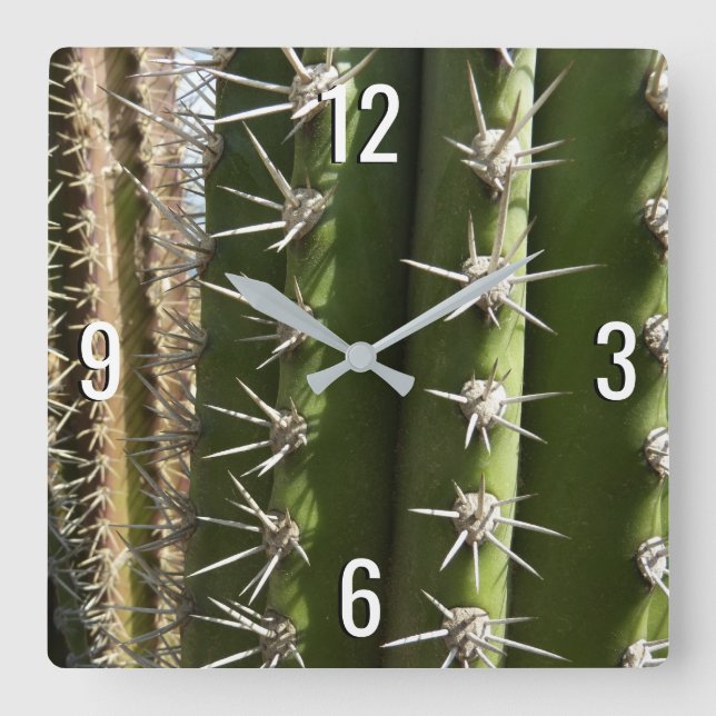 Barrel Cactus II Desert Nature Photo Fyrkantig Klocka (Framsida)